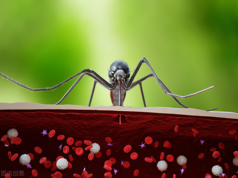 什么动物对人类威胁最大（蚊子每年导致多少人死亡）