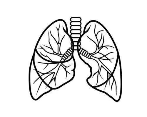 男女性肺癌晚期最怕三个征兆，声音嘶哑严咳痰出血剧烈疼痛