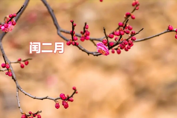u=169736310,756419517&fm=253&fmt=auto&app=120&f=JPEG.webp.jpg