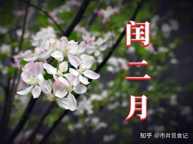u=3075699052,3146464566&fm=253&fmt=auto&app=138&f=JPEG.webp.jpg