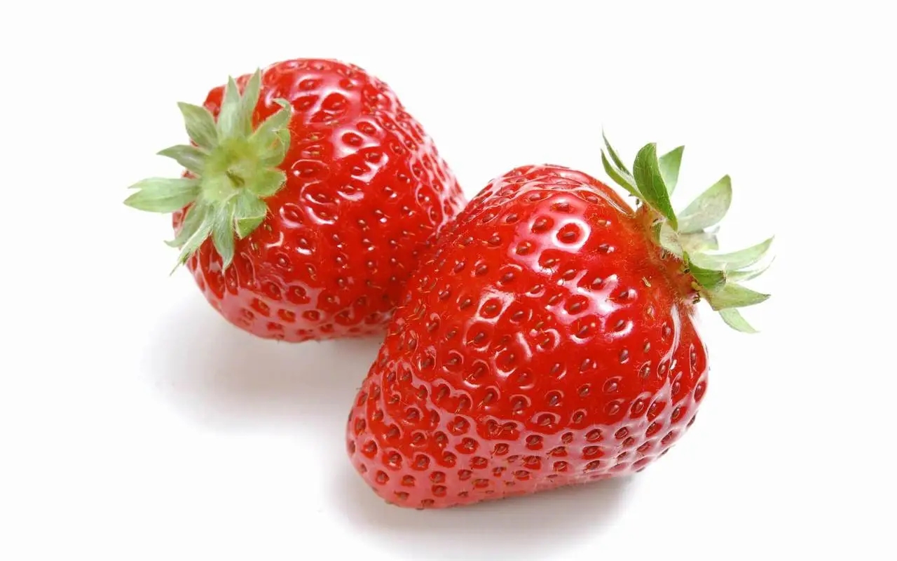 u=1230197608,1695524052&fm=253&fmt=auto&app=120&f=JPEG.webp.jpg