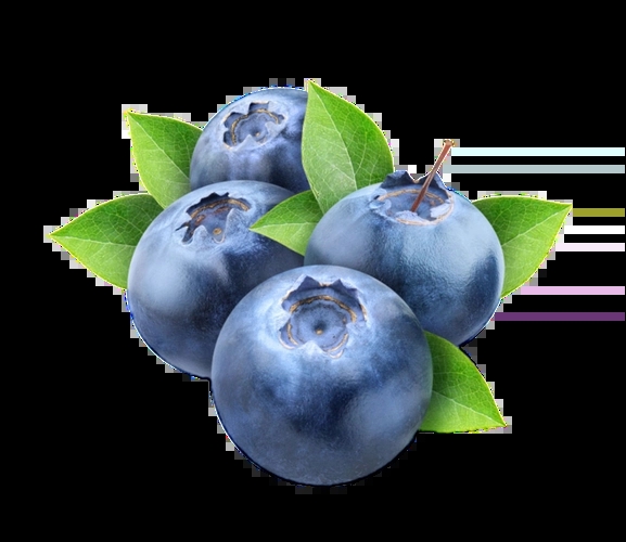 蓝莓的功效与作用图片，保持骨骼健康及视力/增强记忆/抗氧化衰