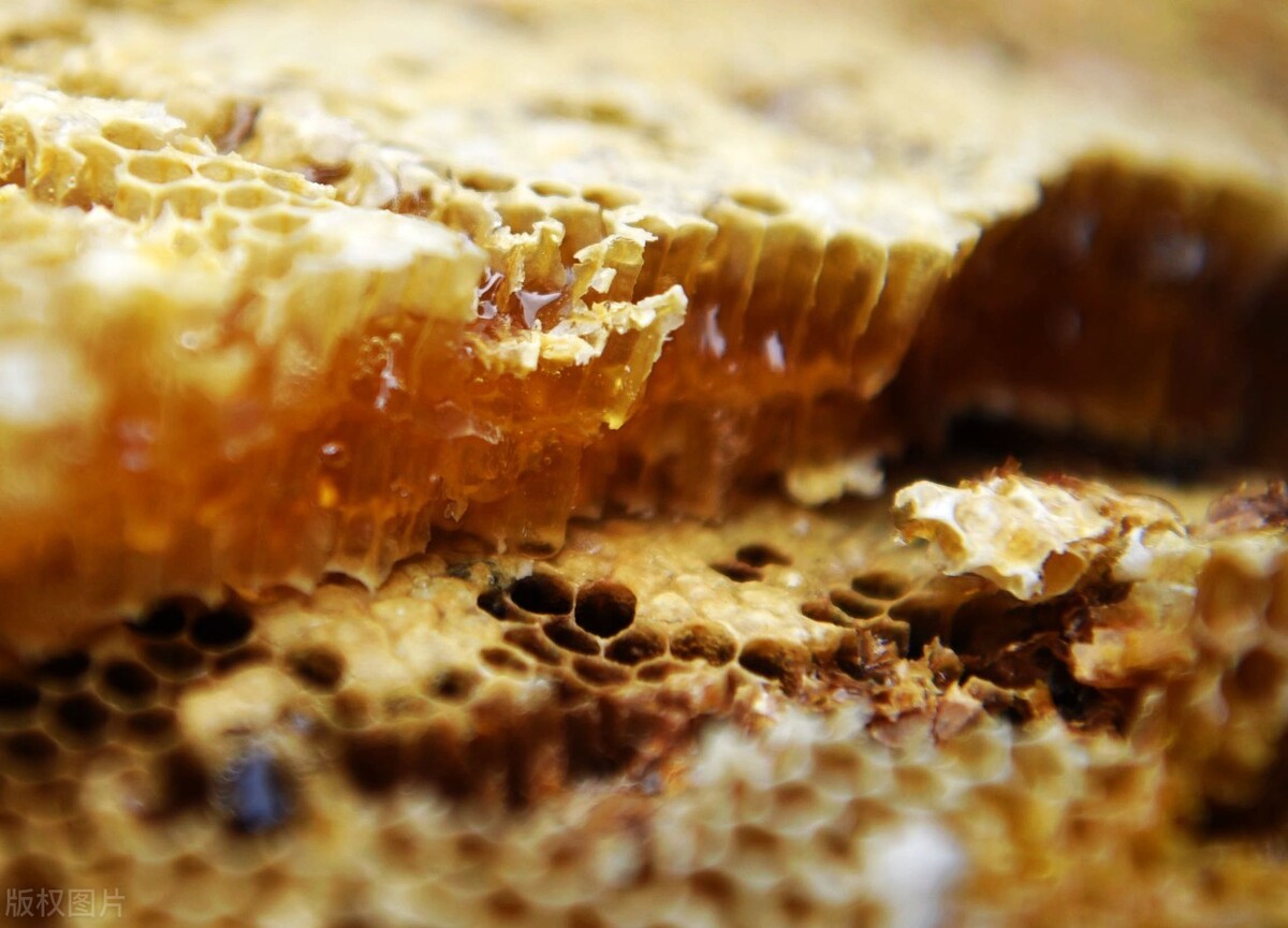 蜂蜜被拿走，蜜蜂会不会被气死