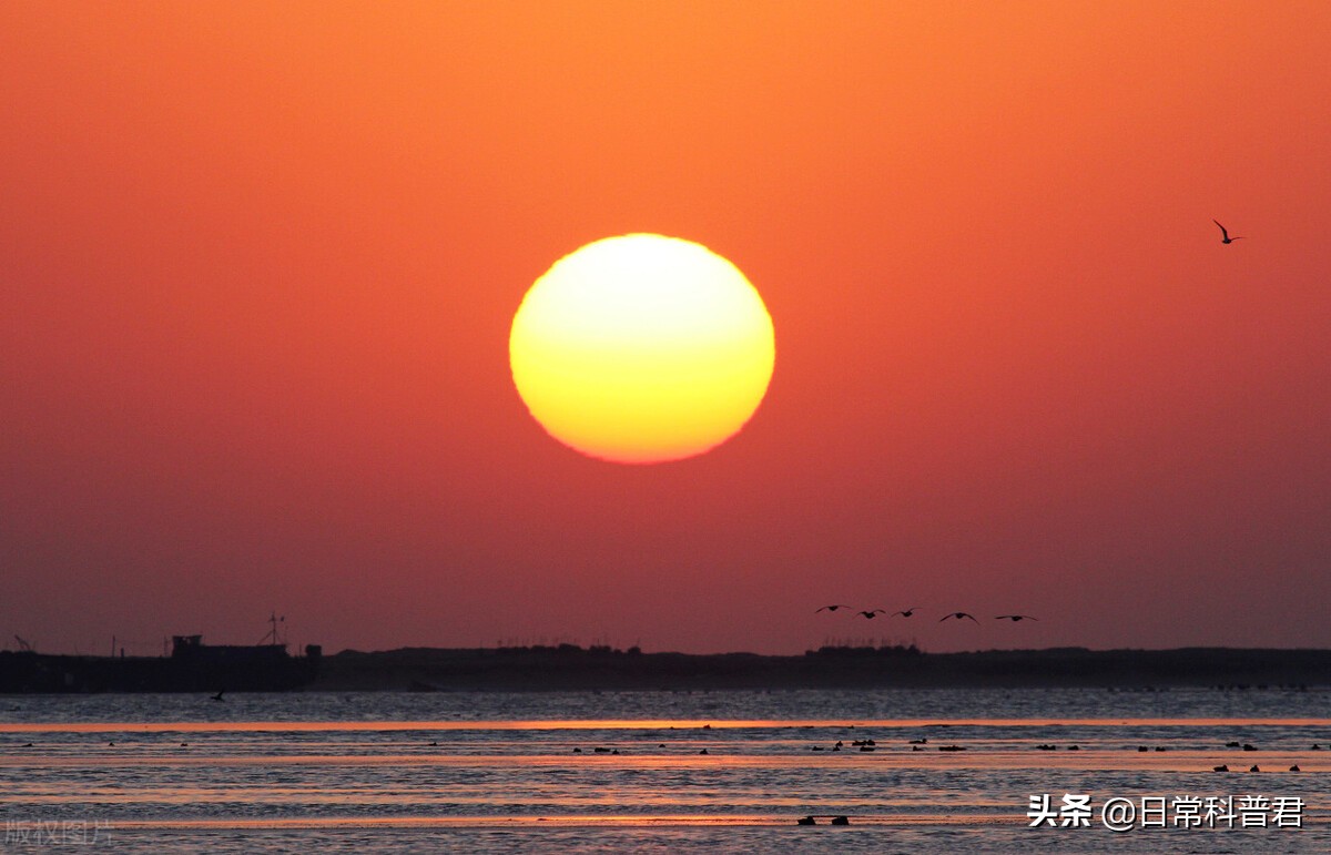 白驹,赤日,金乌图片