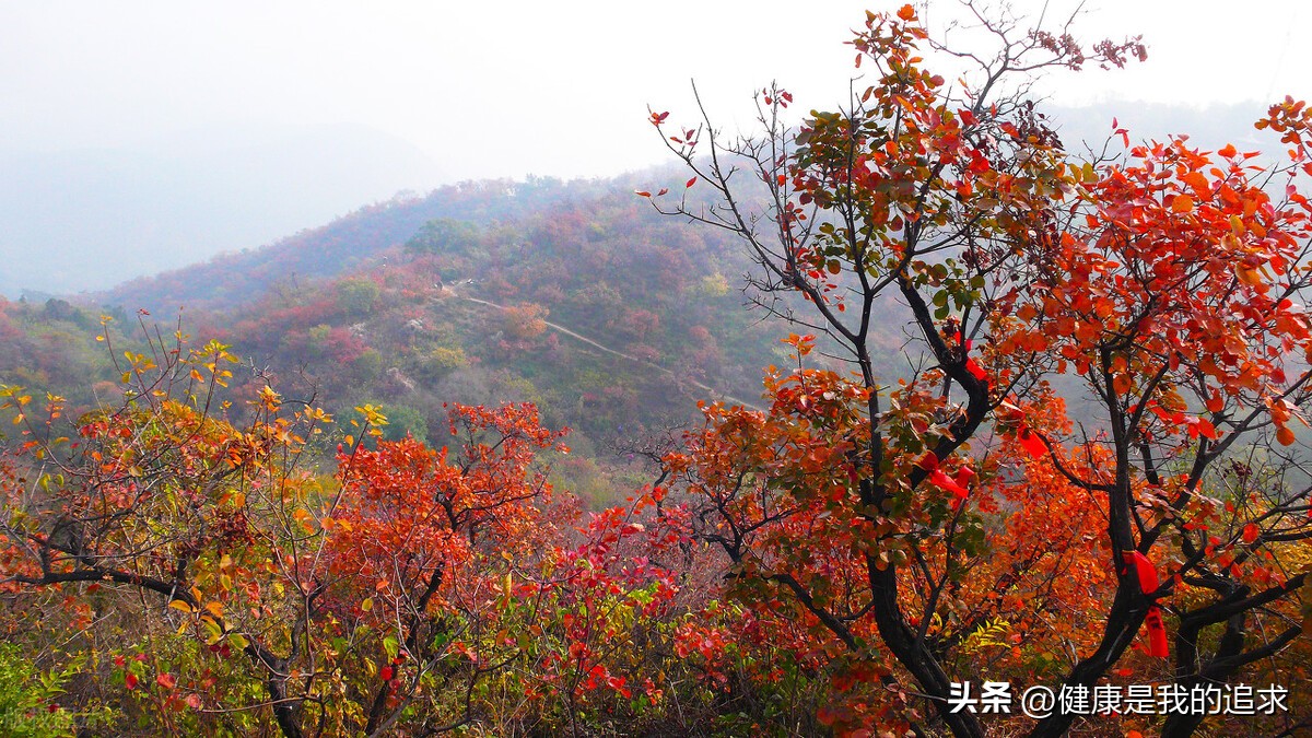 那些景区的秋色最美