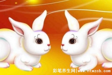 2023年属兔的本命年命运怎么样，事业有所进展/桃花运不理想