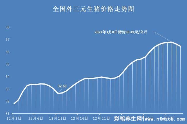 现在的猪价多少钱一斤，15.97元/公斤