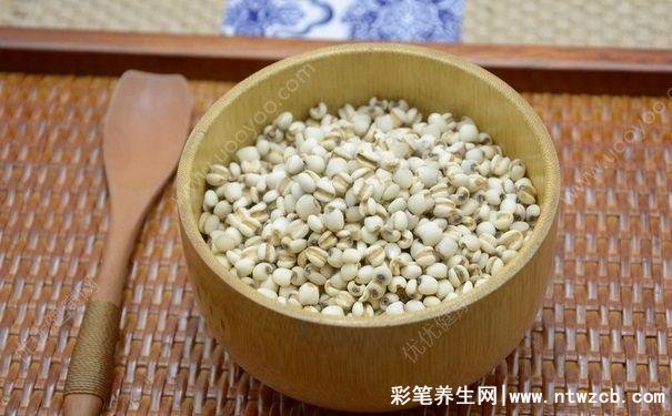 薏米红豆粥多久喝一次，每天喝一次没问题