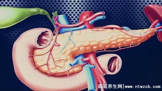 胰腺癌早期有三处痒，不代表三个痒点