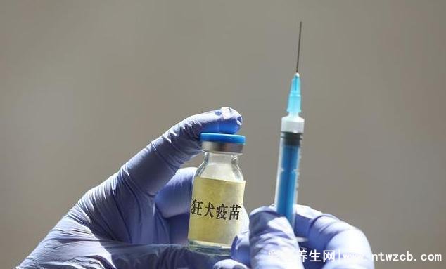 医生不建议打狂犬疫苗，是谣言/有些情况必须要打