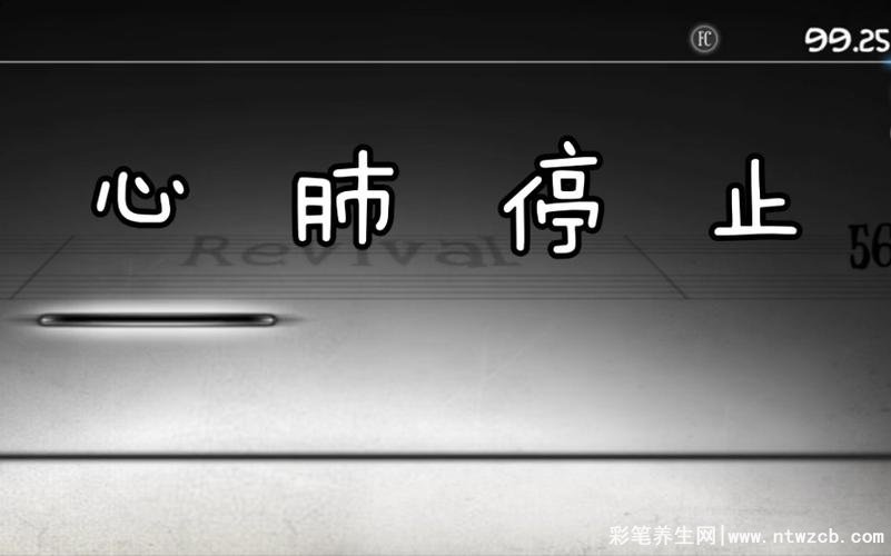 心肺停止状态是什么意思