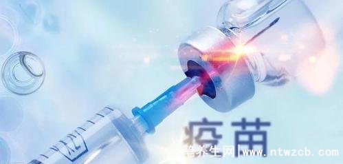 为什么新冠不打疫苗的反而没感染，假的/太片面（预防重症和死亡）