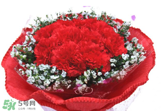 花店一枝花康乃馨多少钱,11枝花康乃馨多少钱