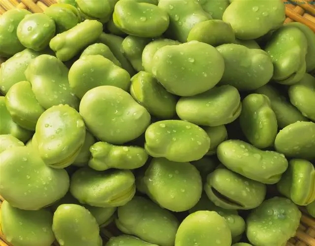 蚕豆有三种人不能吃，尿酸高的人/过敏蚕豆病患者/胃肠功能不佳