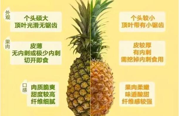 凤梨和菠萝的区别，主要外表/内部/口感不一样